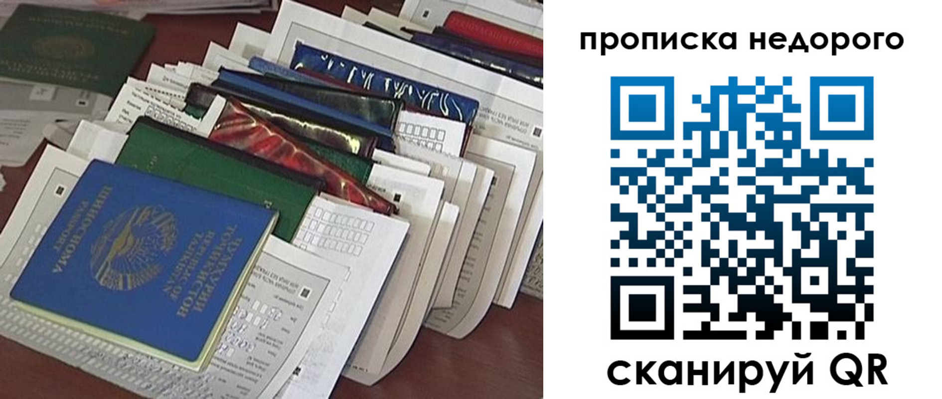 прописка гарантия в Чкаловске